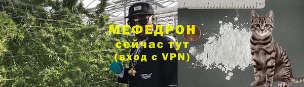 стаф Богородск