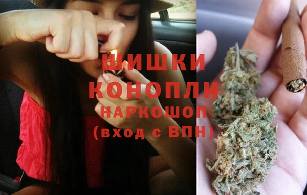 стаф Богородск