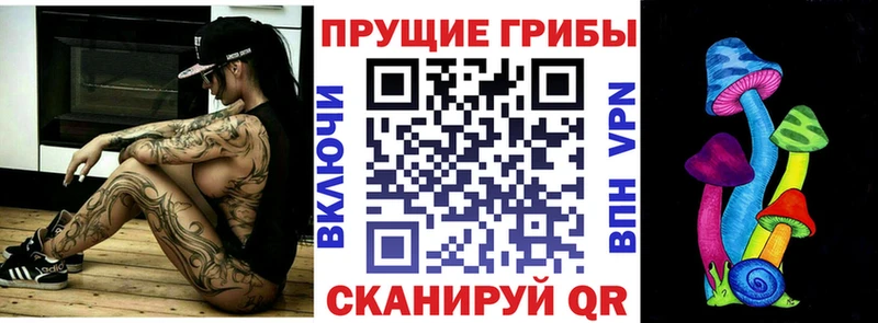 Галлюциногенные грибы Cubensis купить наркотик Юхнов