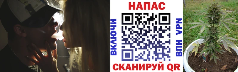 Каннабис планчик  где купить наркотик  kraken рабочий сайт  Юхнов 